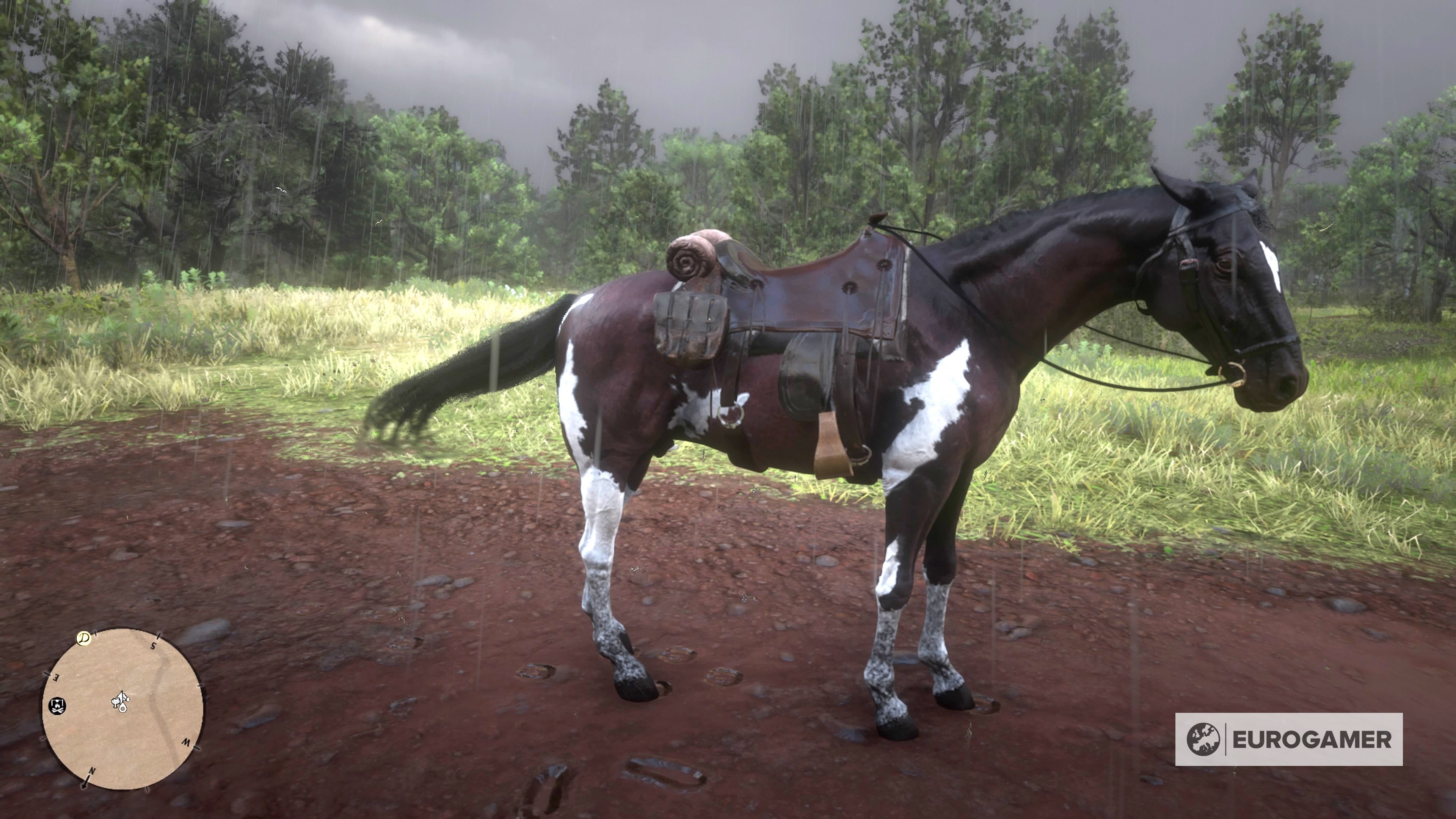 Red Dead Redemption 2 Pferd Steuerung Pc Red Dead Redemption 2: Alle Pferde und wie ihr das beste Pferd fangt